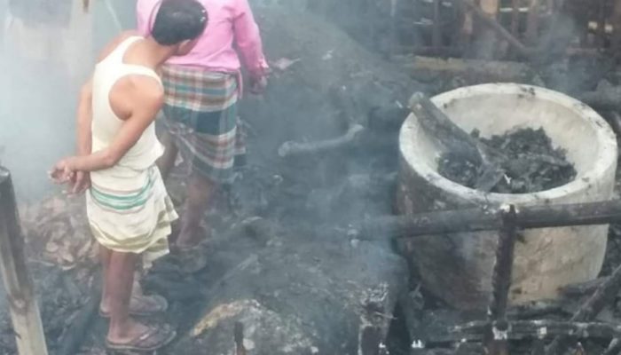 চুয়াডাঙ্গায় মশার কয়েল থেকে গোয়ালঘরে আগুন,পুড়লো ৬ গরু-ছাগল