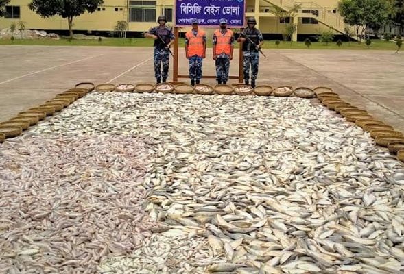 ভোলার মেঘনায় ইলিশসহ ১৩৮ মণ মাছ জব্দ