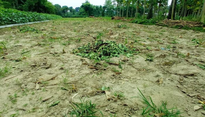 চুয়াডাঙ্গার গাড়াবাড়িয়ায় জোরপূর্বক জমি দখলের চেষ্টা। থানায় অভিযোগ, সুষ্ঠু তদন্তের দাবী এলাকাবাসীর