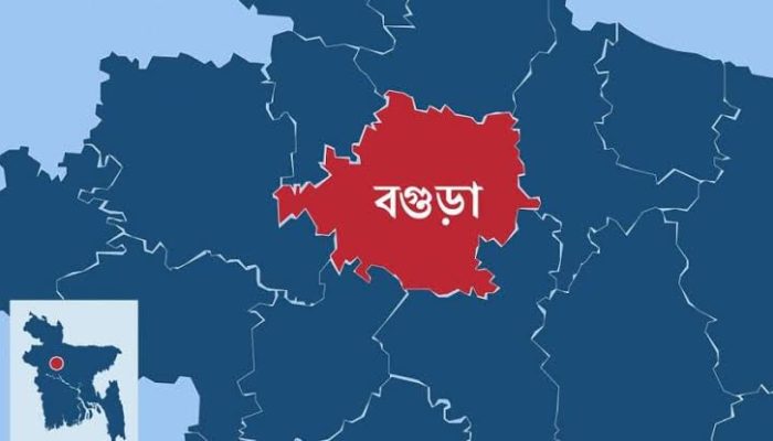 বগুড়ার ধুনটে ষাঁড় গরুর গুঁতায় কিশোরের মৃত্যু