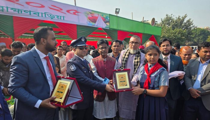 নবীনগরে যথাযোগ্য মর্যাদায় বিজয় দিবস উদযাপন