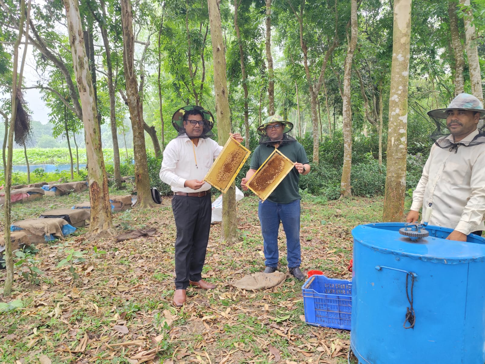 ঠাকুরগাঁওয়ে মিষ্টি কুমড়ার মাঠে বিসিকের মৌচাষ: ফলন ও মধু উৎপাদনে নতুন সম্ভাবনা
