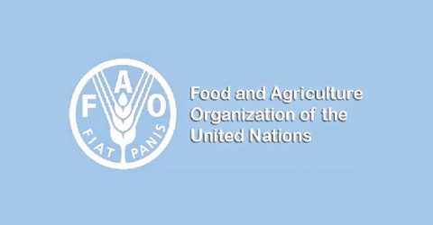 বৈশ্বিক খাদ্য বিপর্যয়ের শঙ্কা: ইরান-যুক্তরাষ্ট্র সংঘাতের ছায়া ঢাকা থেকে কায়রোয়