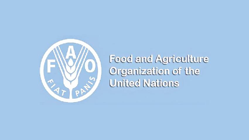 বৈশ্বিক খাদ্য বিপর্যয়ের শঙ্কা: ইরান-যুক্তরাষ্ট্র সংঘাতের ছায়া ঢাকা থেকে কায়রোয়