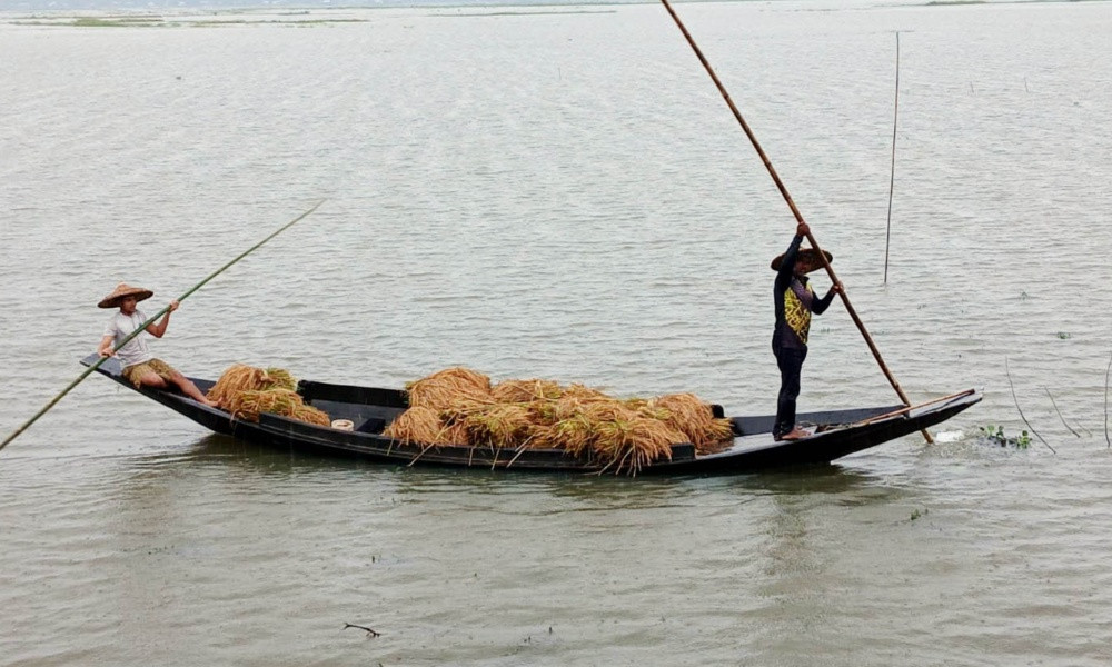 হাওর অঞ্চলে বন্যার অবনতি, ৮ নদীর পানি বিপৎসীমার ওপরে