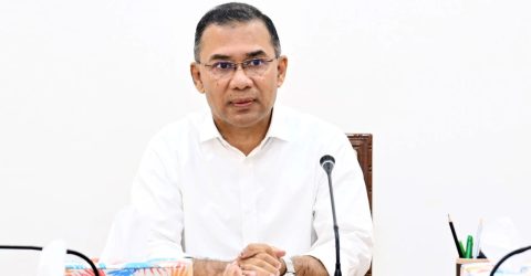 মশক নিধন শিখতে ফ্লোরিডা নয়, ডোবার পাশে দাঁড়ানোর পরামর্শ প্রধানমন্ত্রীর