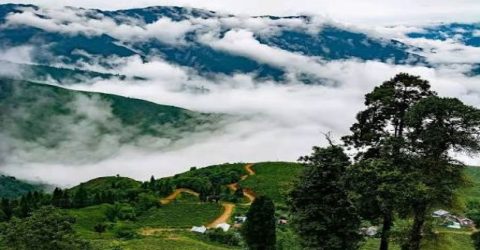 বর্ষায় ঘুরে আসুন দার্জিলিংয়ের অফবিট গ্রাম মাজুয়া