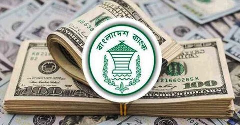 জুলাইয়ে রেমিট্যান্স এলো ২৮৫ কোটি ৯০ লাখ ডলার, প্রবৃদ্ধি ১৫.৪ শতাংশ