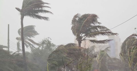 সন্ধ্যার মধ্যে চার জেলায় ৬০ কিলোমিটার বেগে ঝড়ের আশঙ্কা