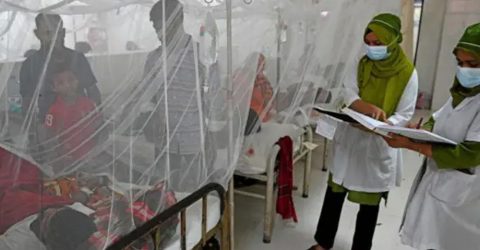ডেঙ্গুতে ২৪ ঘণ্টায় আরও ৭ জনের মৃত্যু, হাসপাতালে ১ হাজার ৭৫৩
