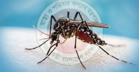 ডেঙ্গুতে এক দিনে ৯ মৃত্যু, আক্রান্ত প্রায় ২ হাজার