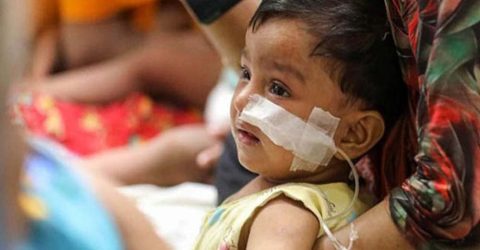 হামের উপসর্গ নিয়ে আরও ৭ জনের মৃত্যু, হাসপাতালে ১১৩৫ রোগী