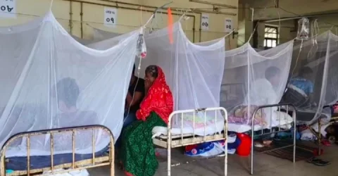 ডেঙ্গুতে মৃত্যু ৩৩৫, এক দিনে হাসপাতালে ভর্তি ১১৮১