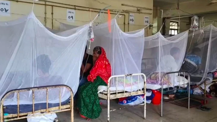 ডেঙ্গুতে মৃত্যু ৩৩৫, এক দিনে হাসপাতালে ভর্তি ১১৮১