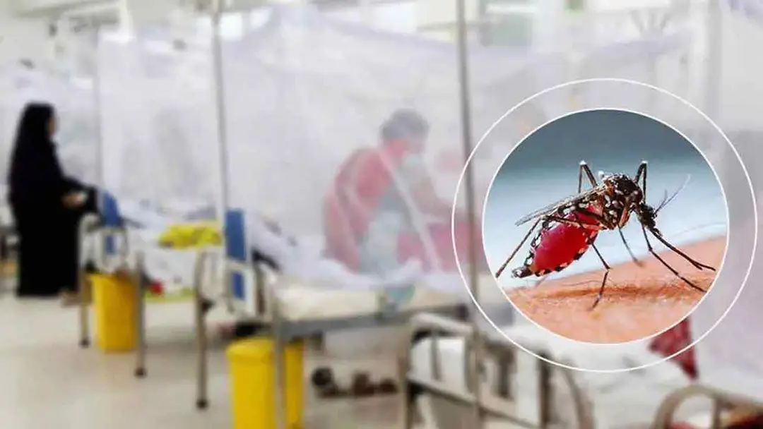 ডেঙ্গুতে একদিনে ৯ জনের মৃত্যু, হাসপাতালে ভর্তি ১ হাজার ৯০২